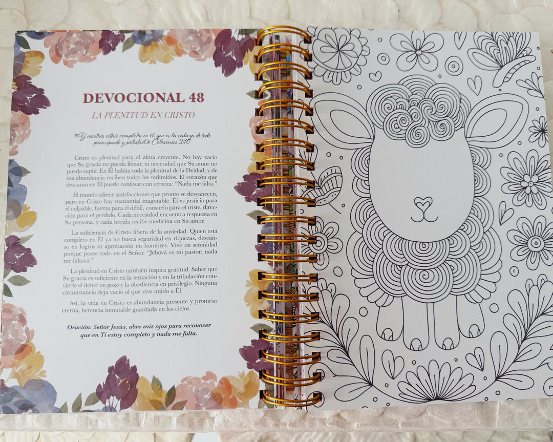 100 devocionales con ilustraciones
