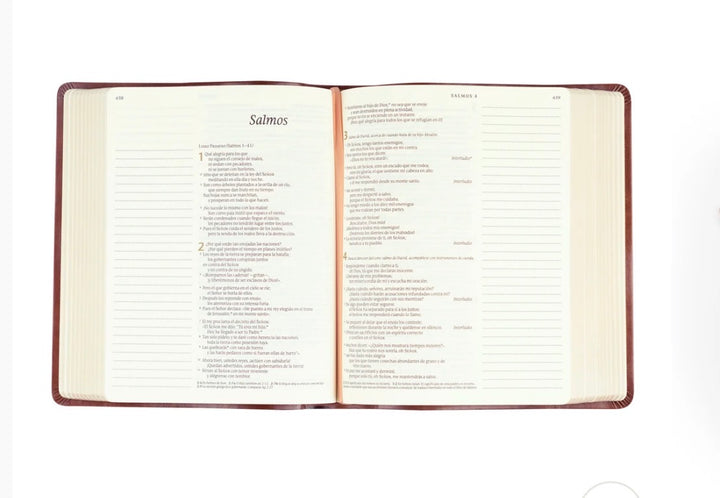 Hosanna Bible version NTV en Español